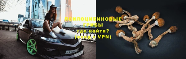 твердый Алексеевка